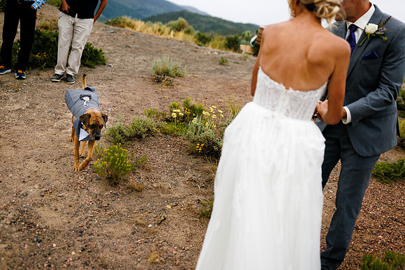 Amy_Anthony_Wedding_Edited-102