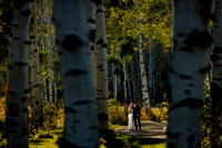 Wedding - Favorites