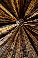 David_Olivia_Detail-7