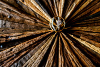 David_Olivia_Detail-5