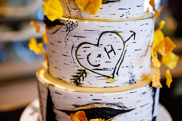Hardy_Cindy-Wdg-Detail-23