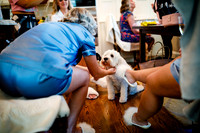 Mike_Cassie_Wdg-Edited-5