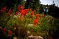 Gillespie_july22-4