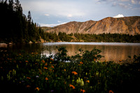 Gillespie_july22-8
