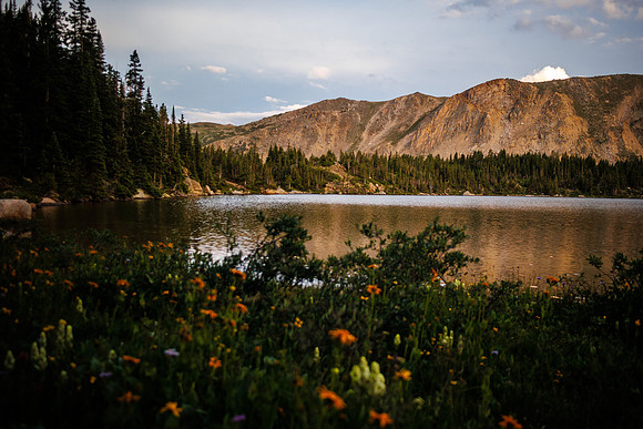 Gillespie_july22-8
