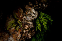 Gillespie_july22-6
