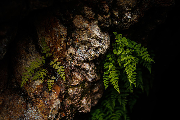 Gillespie_july22-6