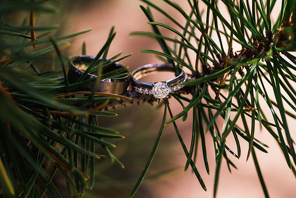 McCarroll_Wedding_Edited-73