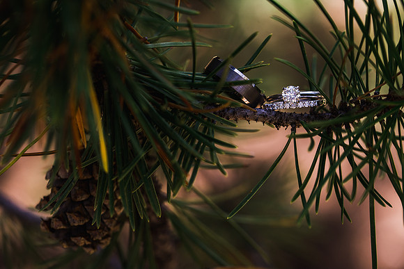 McCarroll_Wedding_Edited-66