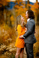 Engagement - Favorites