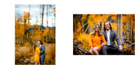 Final Engagement Album