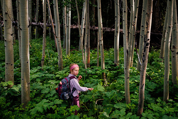 Gillespie-Backpacking-35