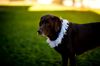 Jake_Jess_Edited-6
