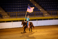 horse-color-16
