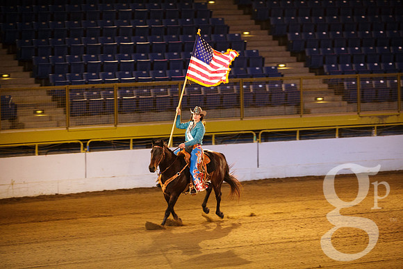 horse-color-16