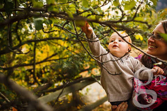 Estes_Family_Fall2016-Edited-97