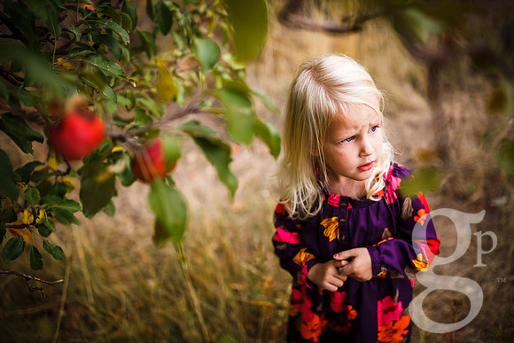 Estes_Family_Fall2016-Edited-120