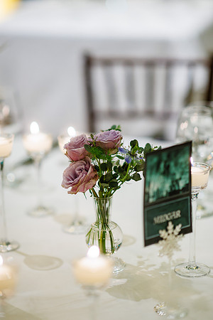 Anthony_Hilary_Wdg_Detail-39