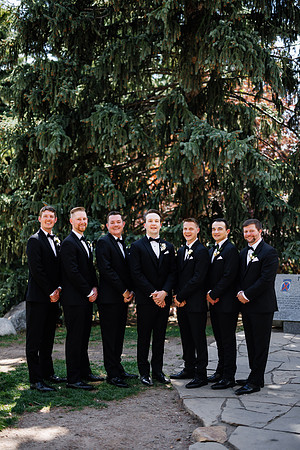 D-T_Group-36