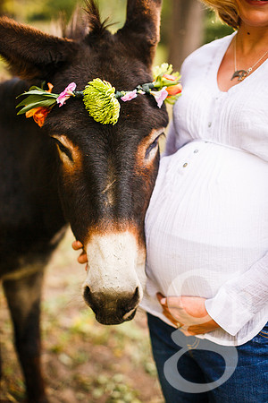 Ferguson_Maternity-Edited-27