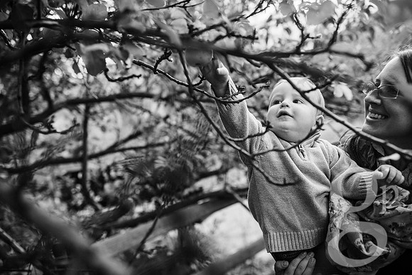 Estes_Family_Fall2016-Edited-98