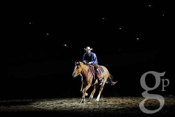 horse-color-39