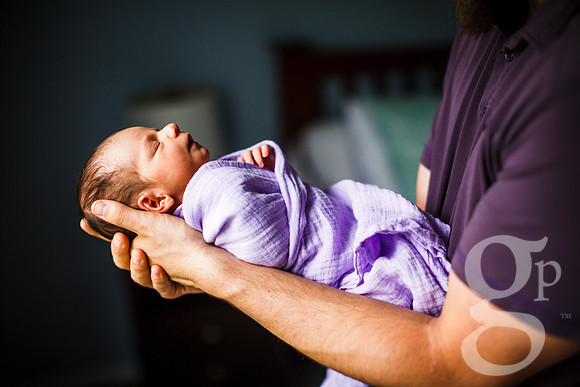 Lulu_Newborn-10