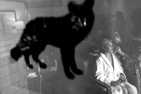 Jason_Kim_Wdg-Favorites-4