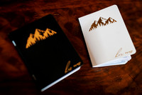 Cara_Sean_Wdg-Detail-12