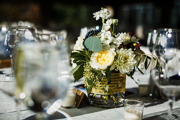 Josh_Allison_Favorites-80