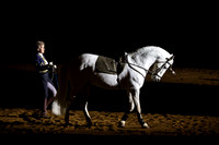 horse-color-20