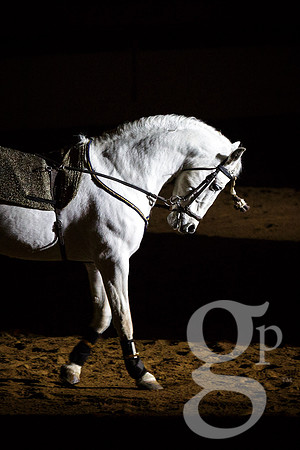 horse-color-21