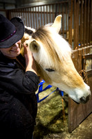 horse-color-7