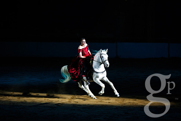 horse-color-26