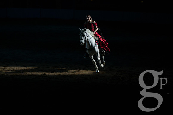 horse-color-27