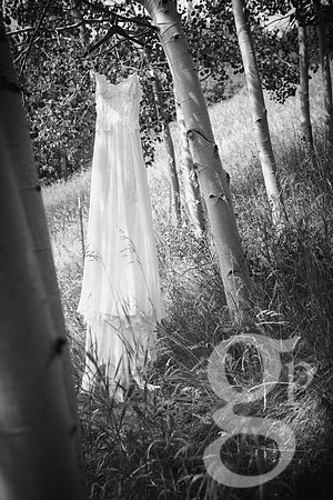 Standard_Favs-8