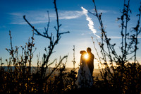 Wedding - Favorites