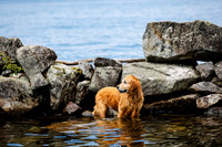 C&L-LakeDay-6