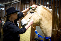 horse-color-1