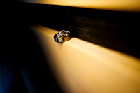 Ben_Lauren_Wdg_Detail-1