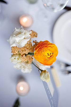 Cooper-Lainey- Detail-49