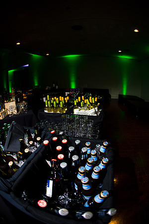 Trulia-Winter-Ball-2014-7