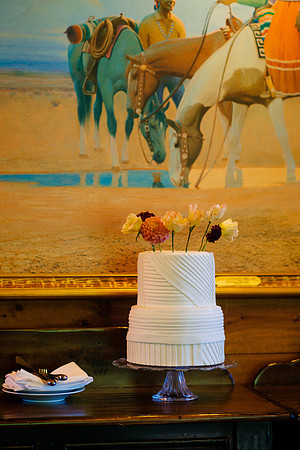Dan_Liz_Wdg-Detail-58