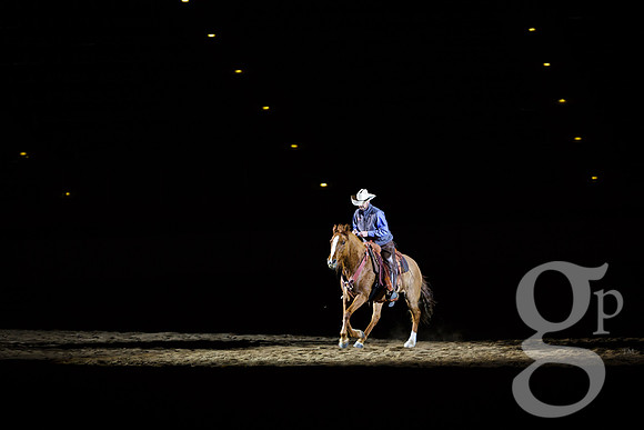 horse-color-38