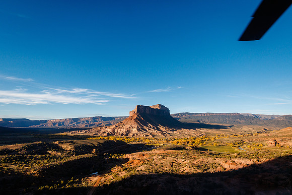 Andrew_Morgan_Wdg-Detail-74