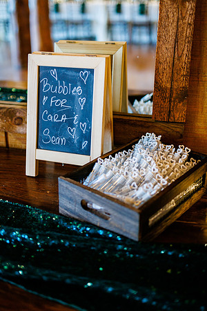 Cara_Sean_Wdg-Detail-65
