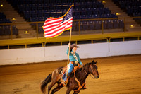 horse-color-17