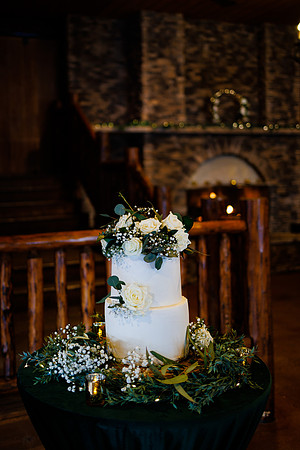 Cara_Sean_Wdg-Detail-67