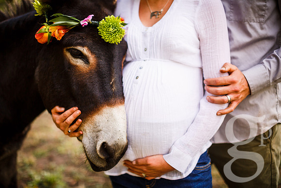 Ferguson_Maternity-Favs-10