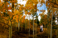 Favorites - Engagement